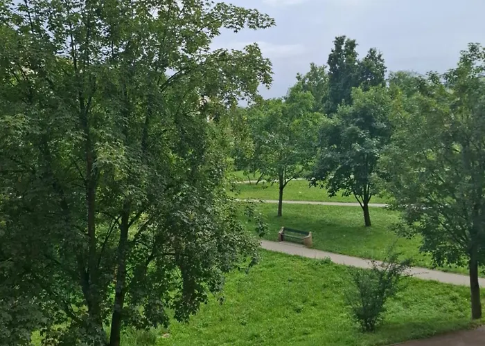 Falowiec Premium Gdańsk